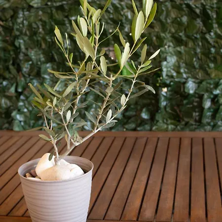 Serene Nest By Rentalpro Services - Halkidiki